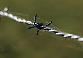 barbed-wire-1785533 1920 | Foto: pixel2013/pixabay