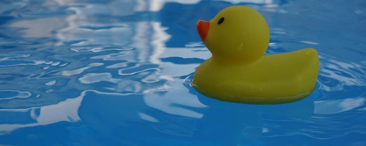 squeaky-duck-5176948 1920