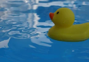 squeaky-duck-5176948 1920 | Foto: Bild von Mylene2401 auf Pixabay