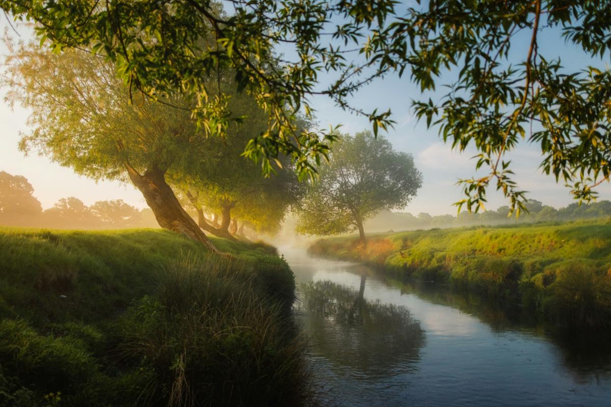simon-wilkes-jlVEj8IDPQc-unsplash | Foto: Simon Wilkes simon-wilkes-jlVEj8IDPQc-unsplash | Foto: Simon Wilkes