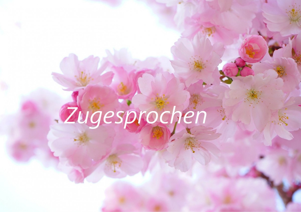 zugesprochen zugesprochen