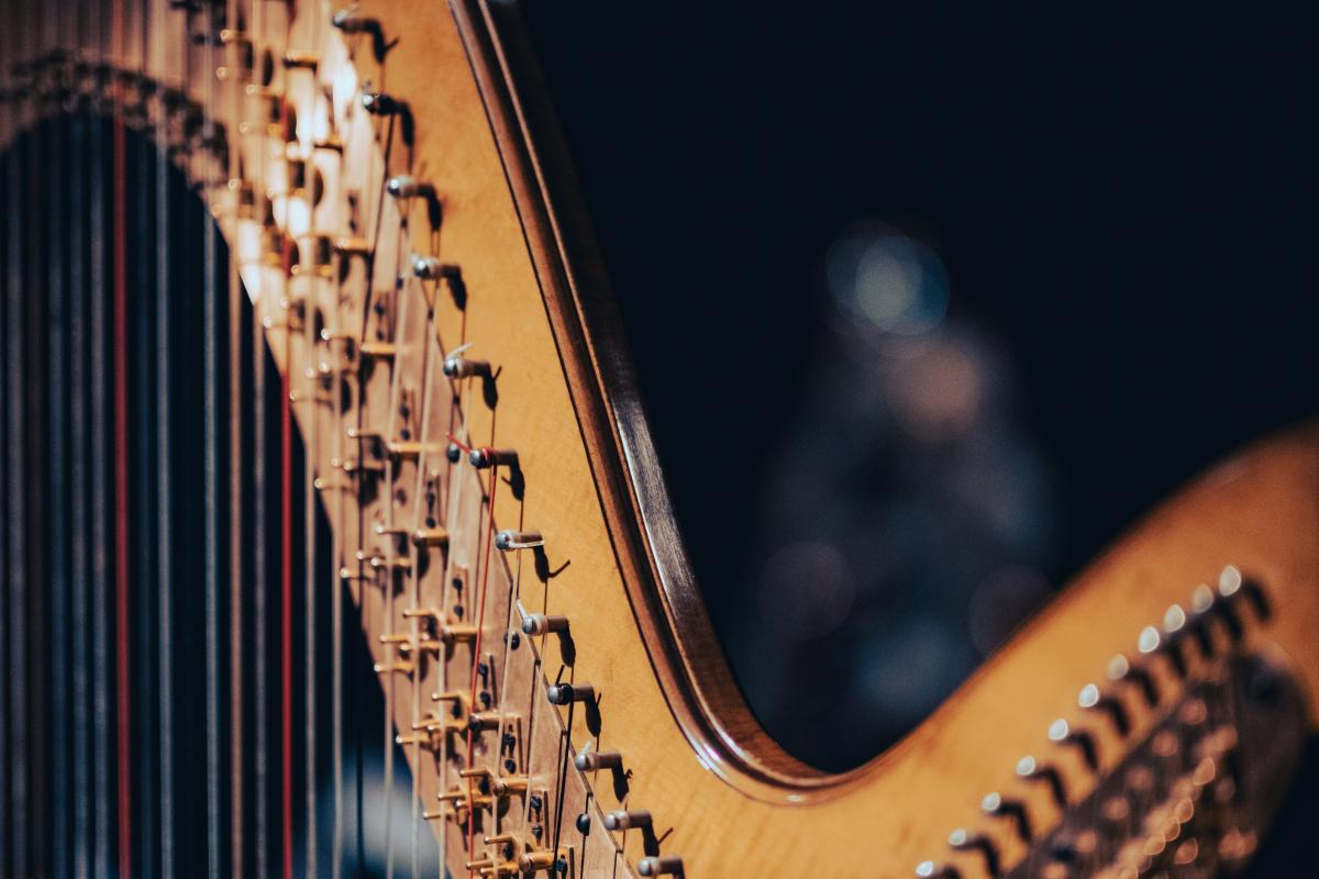 victor-serban-0fl9EOrYgb8-unsplash | Foto: Victor Serban victor-serban-0fl9EOrYgb8-unsplash | Foto: Victor Serban